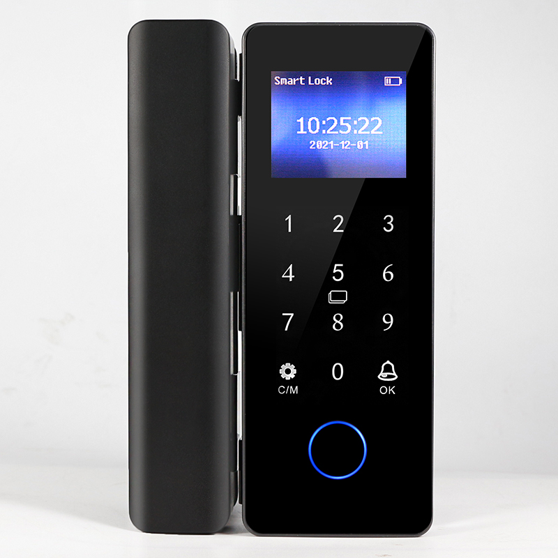 Elektroniczny inteligentny zam – Fingerprint Access Control Door recenzja i cena